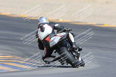 media/Mar-10-2024-SoCal Trackdays (Sun) [[6228d7c590]]/9-Turn 8 Backside (1150am)/